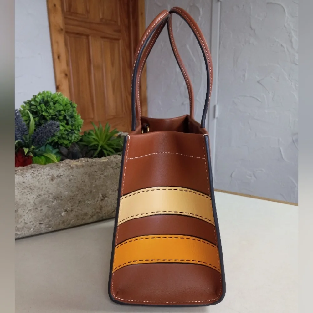 Cashin Carry Bag 22 With Trompe L'oeil Print, Saddle Multi 2022 Runway